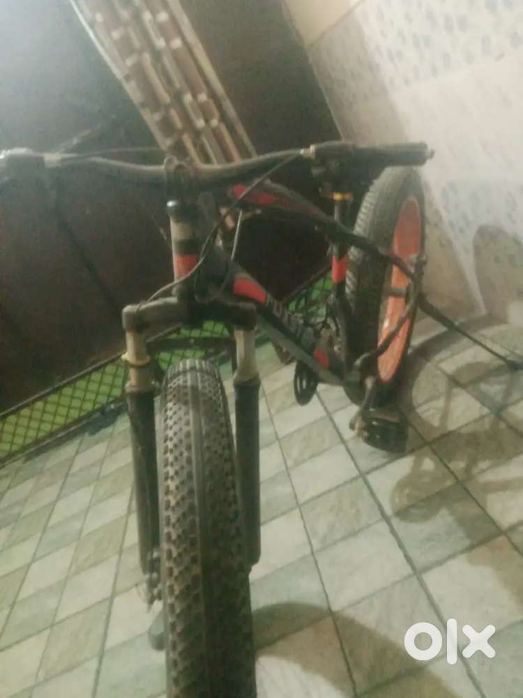 Cycle fat bike