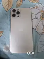 12 pro max