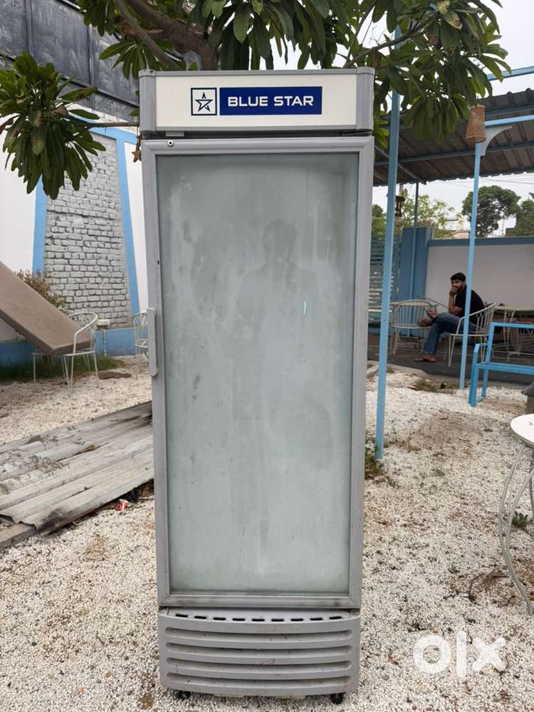 Bluestar Deep Freeze and Voltas deep freeze