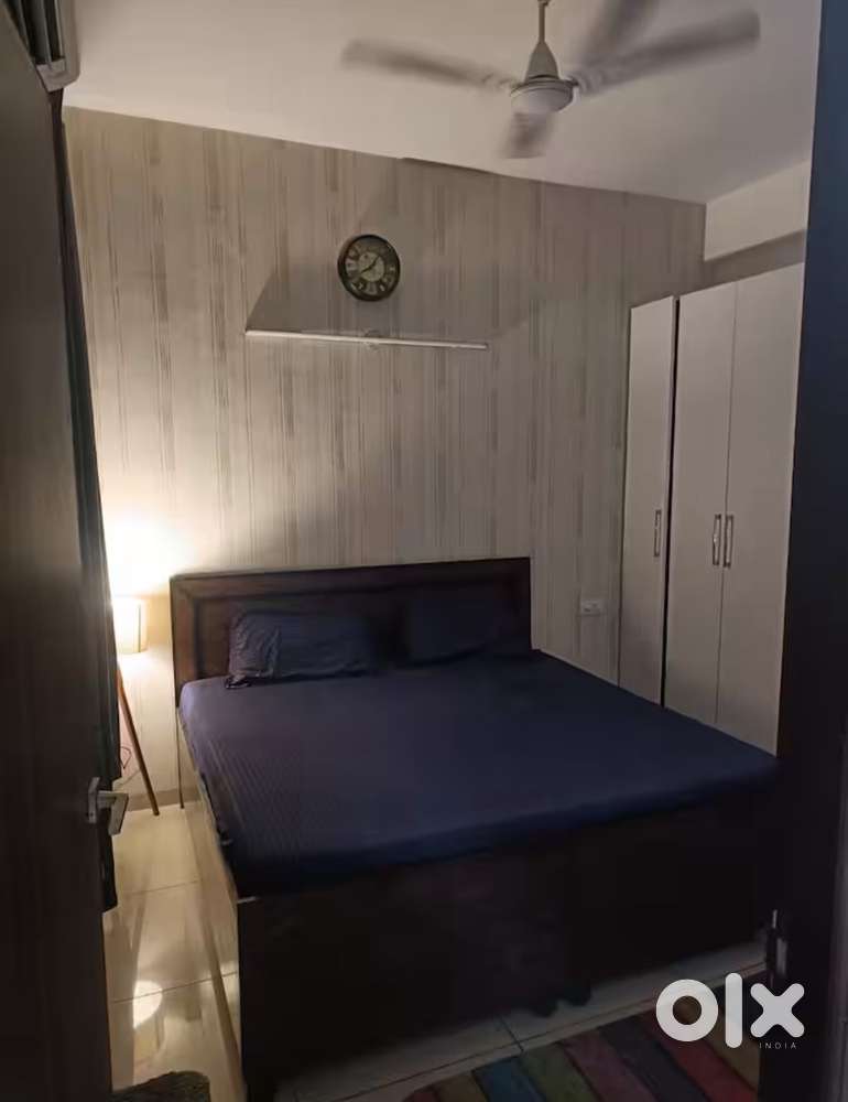 1 BHK Fully Furnished Owner Free Flat For Rent Green Lotus Avenue