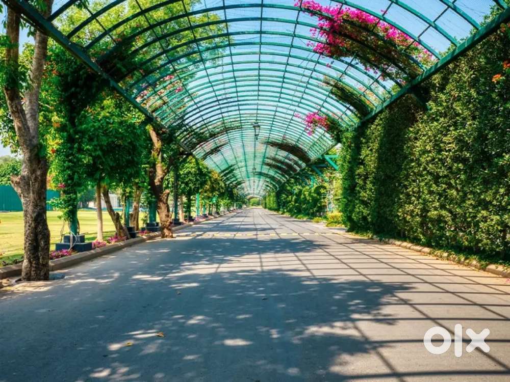 Shop - market se kam rate par