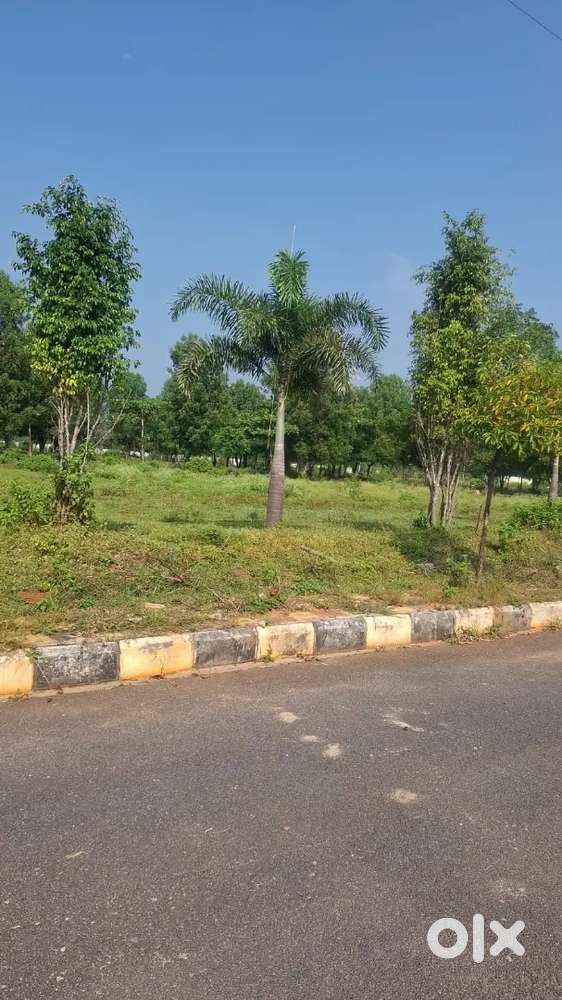 Plot near JP darghar.Jasmine county