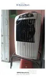 Coller best hai