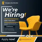 Telecalling Executive