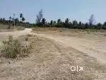 360 Acres dry agri land immediate sale at 10 km from Palladam
