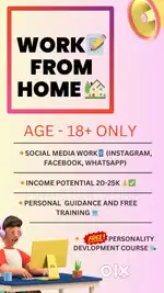 Lead generation, Instagram handling, and Social media optimisation