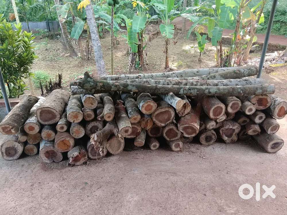 Tree pieces