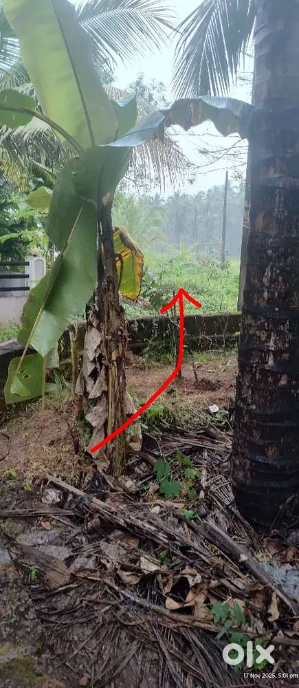 6 cent House Plot for Sale