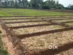 Agricultural land 32 cent 12.5 lakh