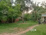 Land & Plots