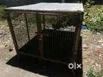 Love birds cage / Dog kennel