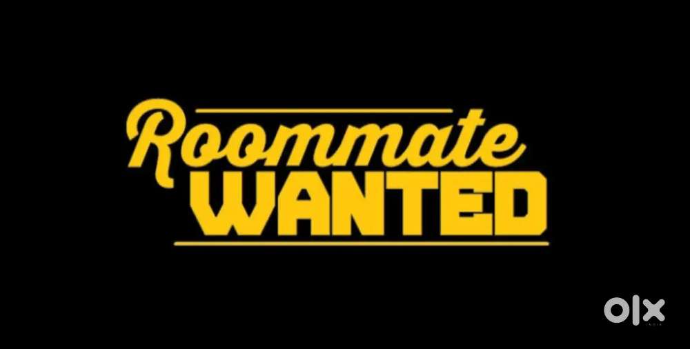 looking for a roommate