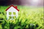 Greater Noida Authority Plot For Sale