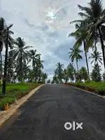 6 Cent House plot for sale at Viyyakurissi,Palakkad