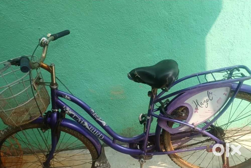 Hazel- Lady Bird - 2500rs