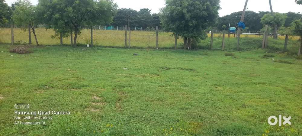 Bank loan Dtcp approved plot for sale near Singaperumal koil
