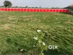Urgent Sale 5000 Sqft Plot for Farmhouse only at 24Km from Nagpur city