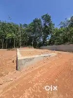 4.5.6.7.8.9.10CENT HOUSE PLOT MANNANTHALA