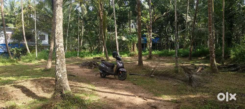 കതിരൂർ, പൊന്ന്യം, പുല്ലോടി ഏരിയ 11 സെൻ്റ് സ്ഥലം വിൽപനയ്ക്ക്