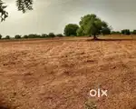 Agricultural Land on Rent - Kusumbi Village Nagpur