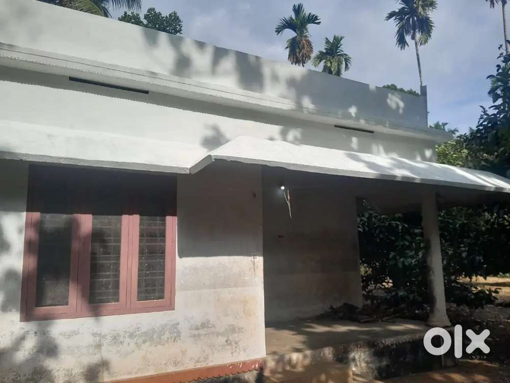 52 cents dry land for sale in konni