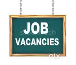 Team leader, documents handling,tele calling, office assistant