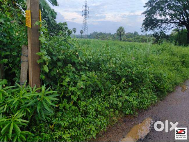 Plot for sale in Chandranagar, Palakkad