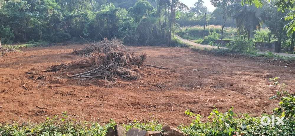 38 cent plain plot with 2 sides facing road Rs .180000/cent