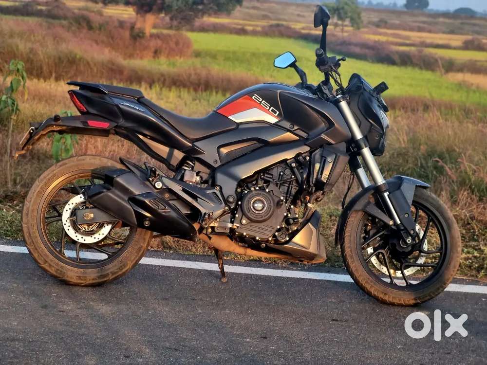 Mint condition dominar 250