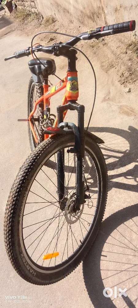 न्यु सायंकाल