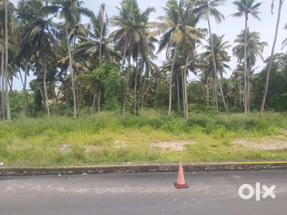 42 cents land for sale