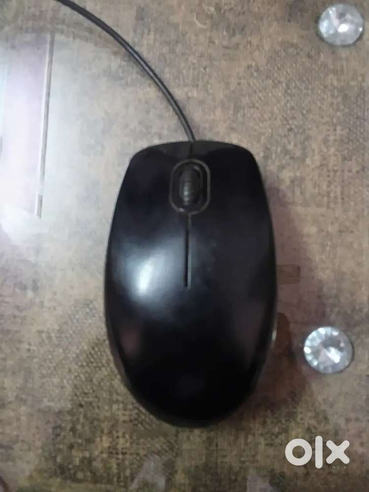 B100 mouse