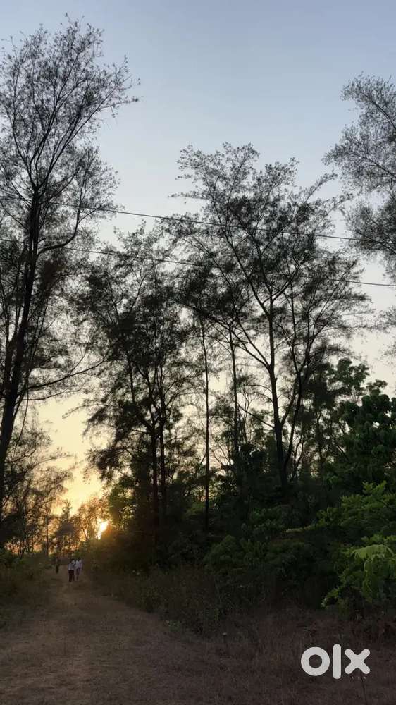 In Ambaghat 11500sqftNA plot for sale best for resort