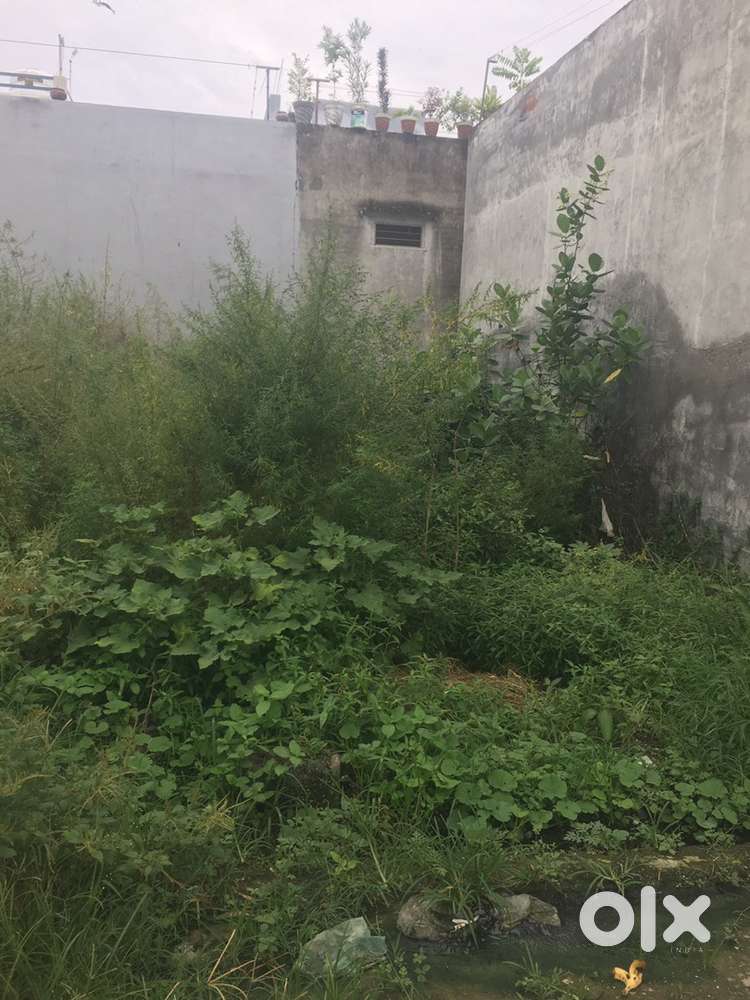 Durga vihar colony football ground jamalpur