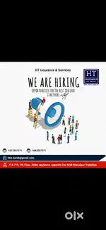 INSURANCE EXECUTIVE