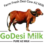 Milk Delivery Job Part Time - 4hrs daily