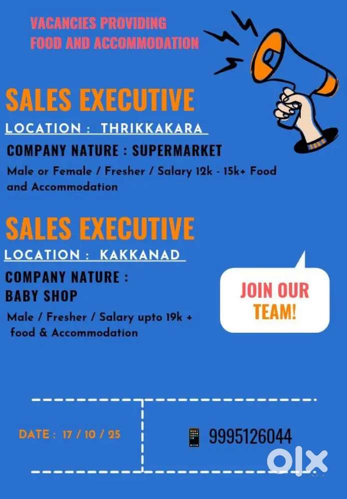 Hiring - Sales Executive with food and Accommodation provided