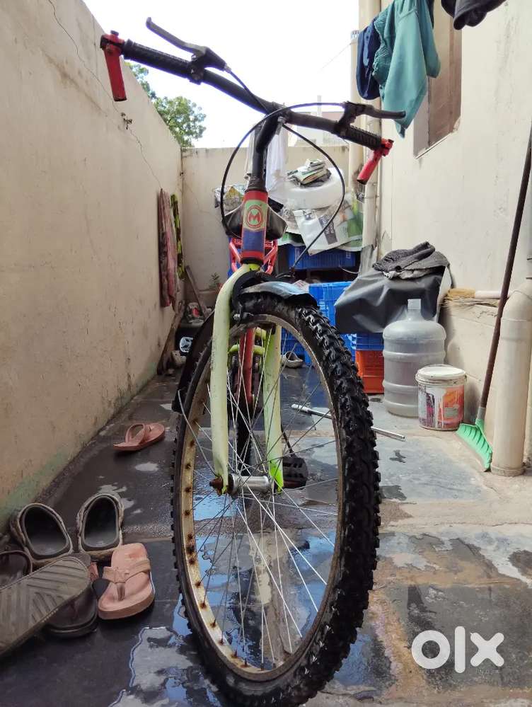 Milton cycle 2020
