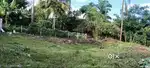 Good Location and Peaceful Place