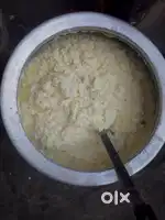 Cow milk colostrum Rs 150 rs Lt