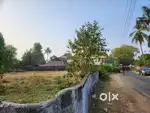 14 cent Land Nedumbassery  Ernakulam