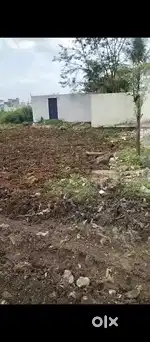 Haladiya padar rolabo road tripati nagar 1 ghara bari pata