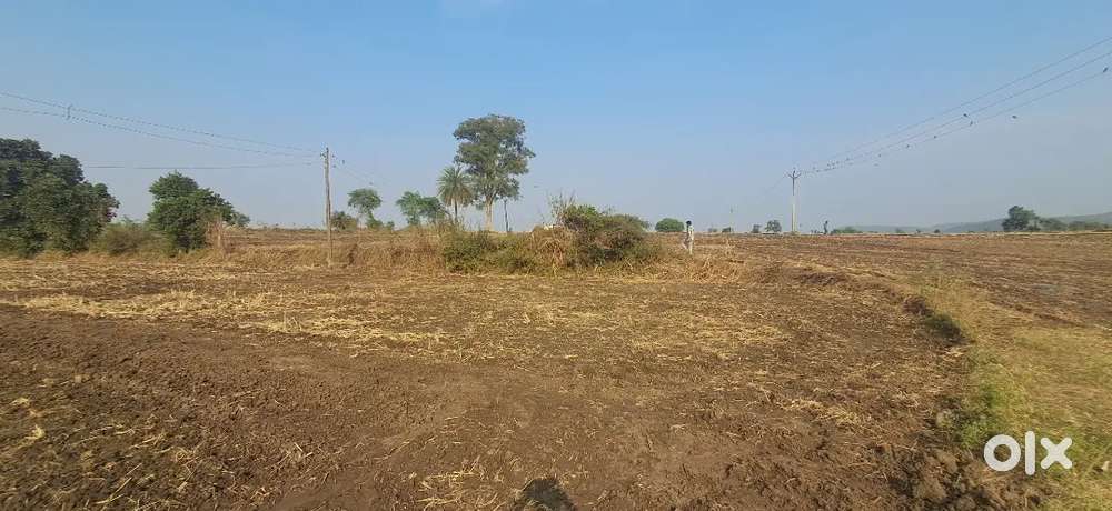 3 Acre Land for Sale in Imaliya Singpur, Near Bhojpur Mandir