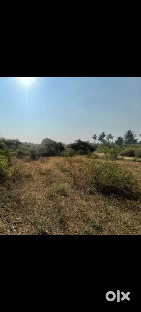 Plot sale in Latteri with patta