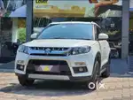 Vitara breeza full top model