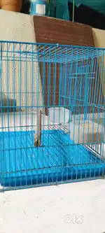 Birds cage