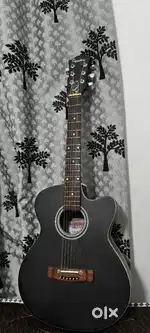 Signature electro Acoustic Guitar with bag(used only for 2 months)