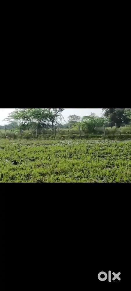 Granite rich land 11 bigha