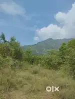 Farm for sale-Mango trees,cashew tress and teak