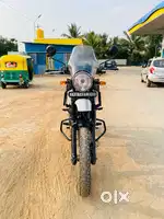 Himalayan fancy number 3000
